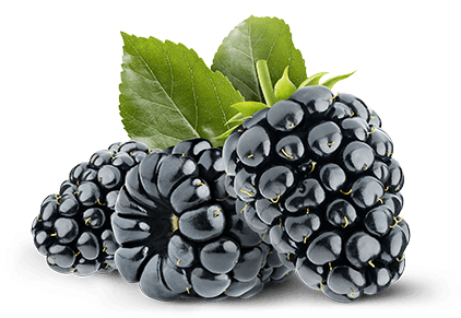 Embalagem de Amora Fruta Congelada